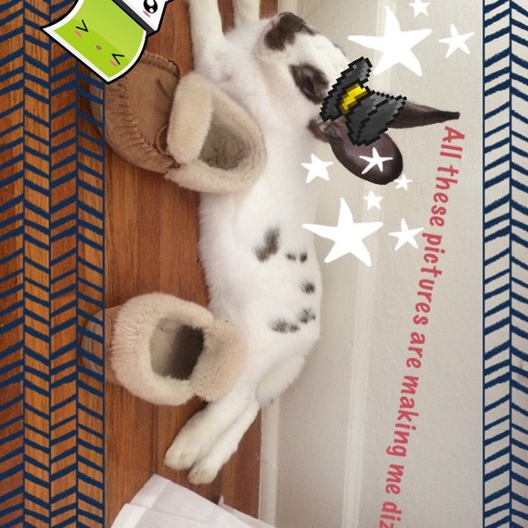 Nuclear_kiwi’s closet 🌙✨ - Picture 4 of 4